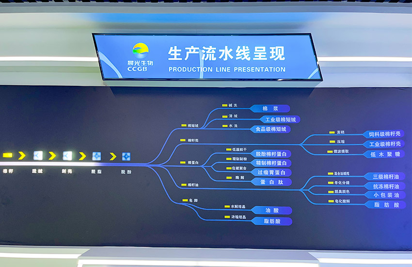 Production Line Presentation